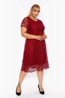 Woman Clothing - موديل نسائي كبير الحجم موديل كلاسيكي بأكمام قصيرة فستان دانتيل أحمر كلاريت 100276038 - Turkey