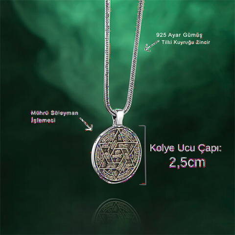 925 Sterling Silver Necklace with Seal of Solomon 100346401