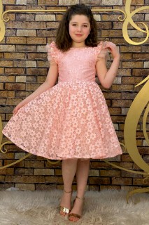 Evening Dress - Blumenbestickter Rock für Mädchen, flauschiges, puderfarbenes Tüll-Abendkleid 100328405 - Turkey