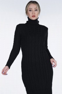 Women's Knitwear Dress 100326407