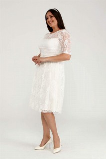 Plus Size Evening Dress Short Lace Dress 100276676