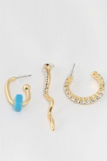 Snake Figured Blue Stone Detailed Gold Color Zircon Stone Earring Set 100319227