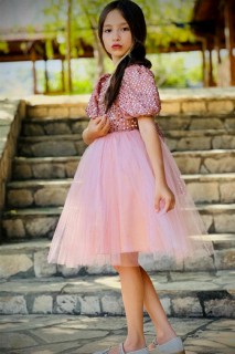Girls' V-Neck Transparent Detailed Skirt Tulle Pulpayet Pink Evening Dress 100328584