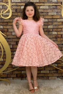 Girl's Flower Embroidered Skirt Fluffy Tulle Powder Evening Dress 100328405